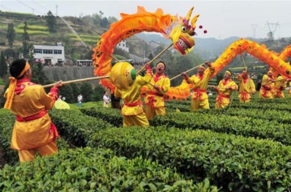 1560755600235710.jpg 图片9.jpg